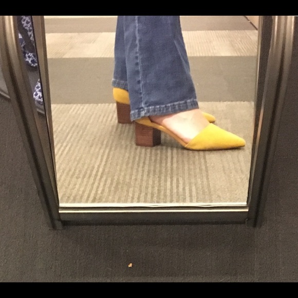 Meet your Posher, Sara - Picture 3 of 3